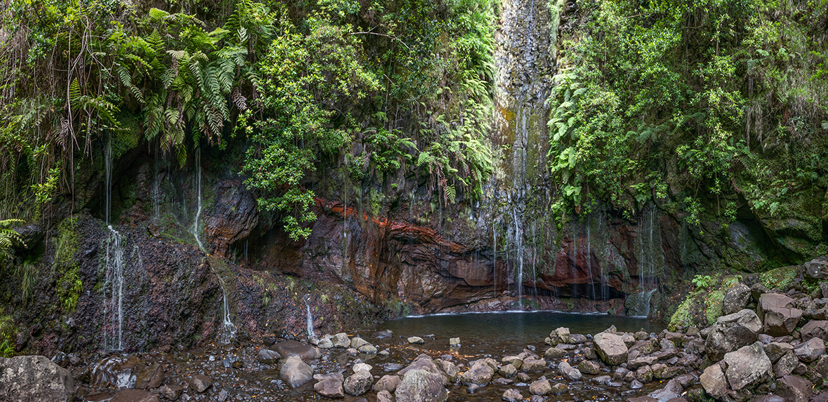Levada das 25 Fontes